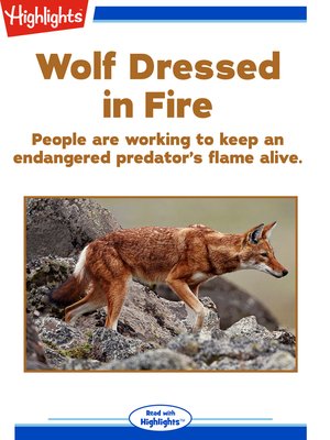 cover image of Wolf Dressed in Fire